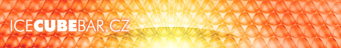 Primary Raster logo